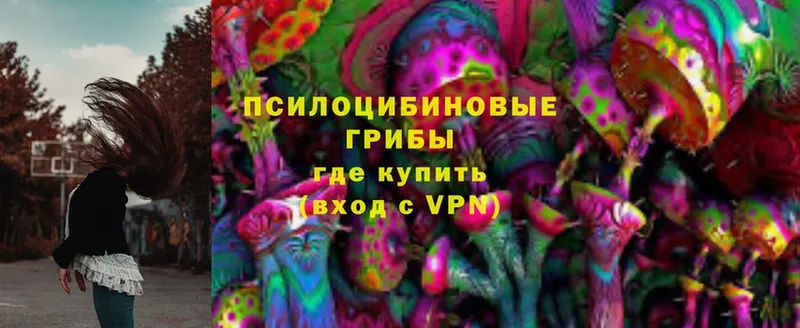 Галлюциногенные грибы MAGIC MUSHROOMS Киржач